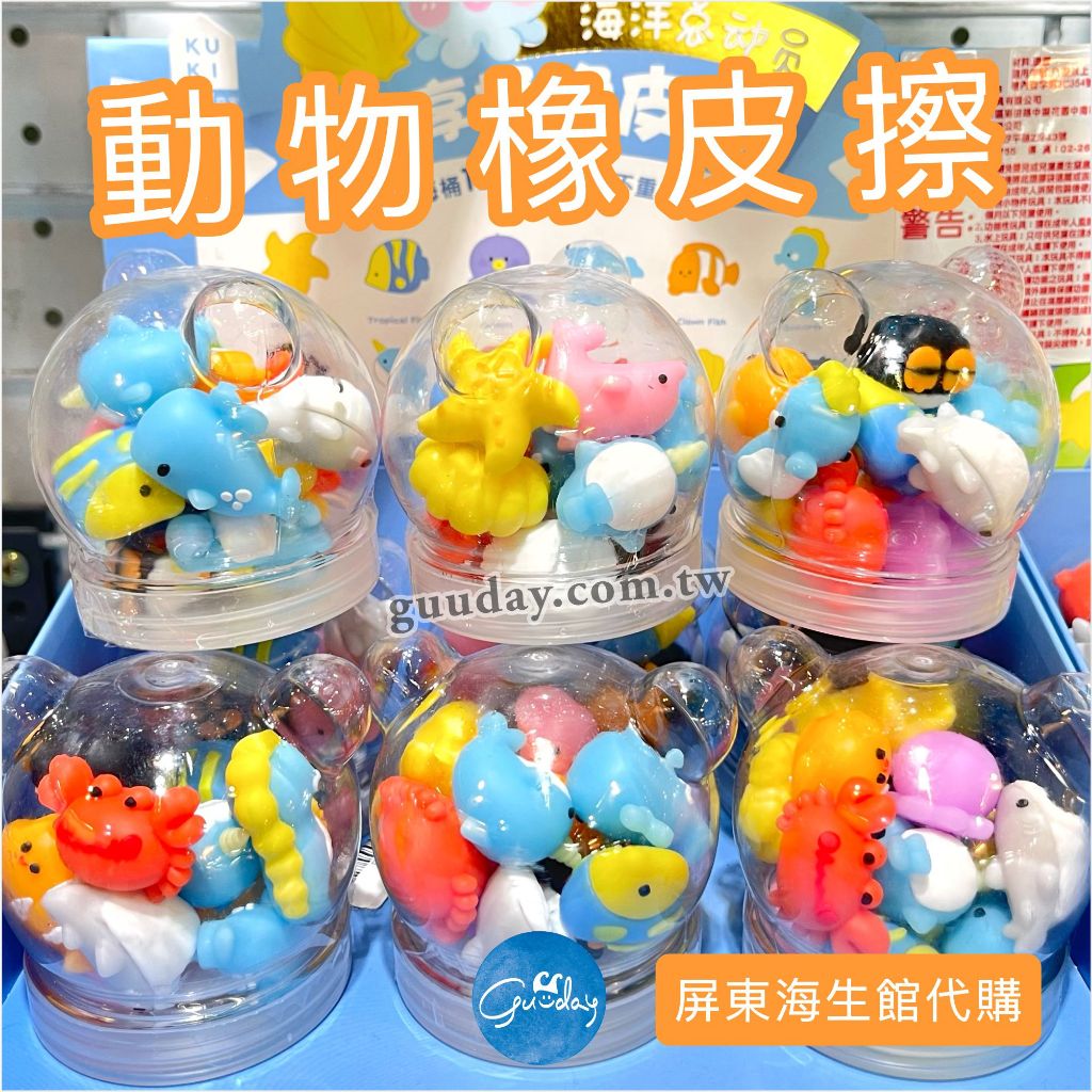海龜 白鯨 鯨魚 企鵝 螃蟹 小丑魚 橡皮擦 屏東海生館 XPARK 海生館 可愛的東西 動物橡皮擦 療癒小物 生日禮物