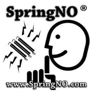 SpringNO 電吉他搖座彈簧雜音消除膠條