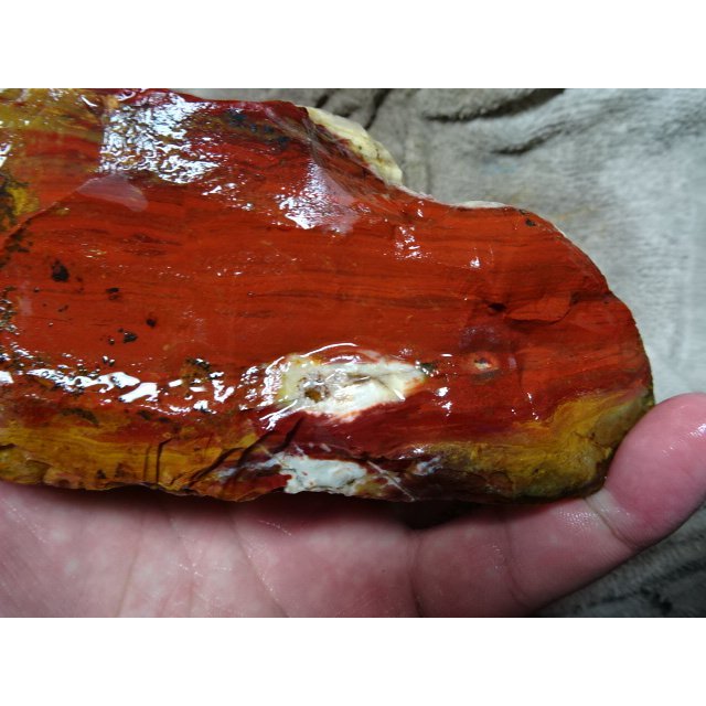 《藍金寶石玉石批發區》→〈原石系列〉→天然紅飛舞虎皮紋木化黃玉髓原礦〈2250公克→AJ7857