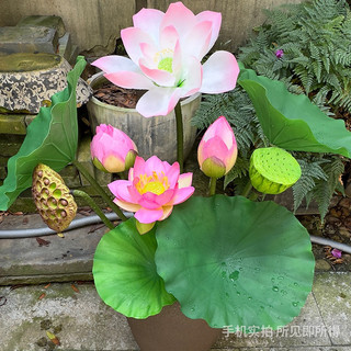 🌸模擬荷花蓮花🌸佛堂飾品 模擬荷葉 新中式蓮花 家居佛堂裝飾 假荷花蓮蓬 荷花🪷假蓮花 假植物