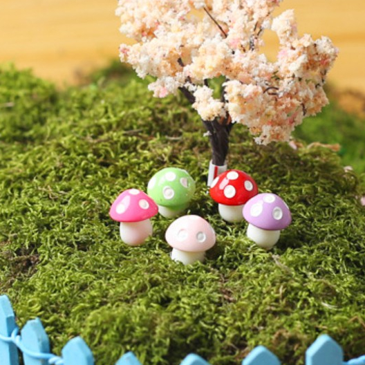 CARMO大號-彩色小蘑菇多肉植物微景觀(單入) 盆栽裝飾 蘑菇