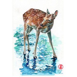 鹿Sika deer 明信片105x148mmmax 葉于聖水彩明信片