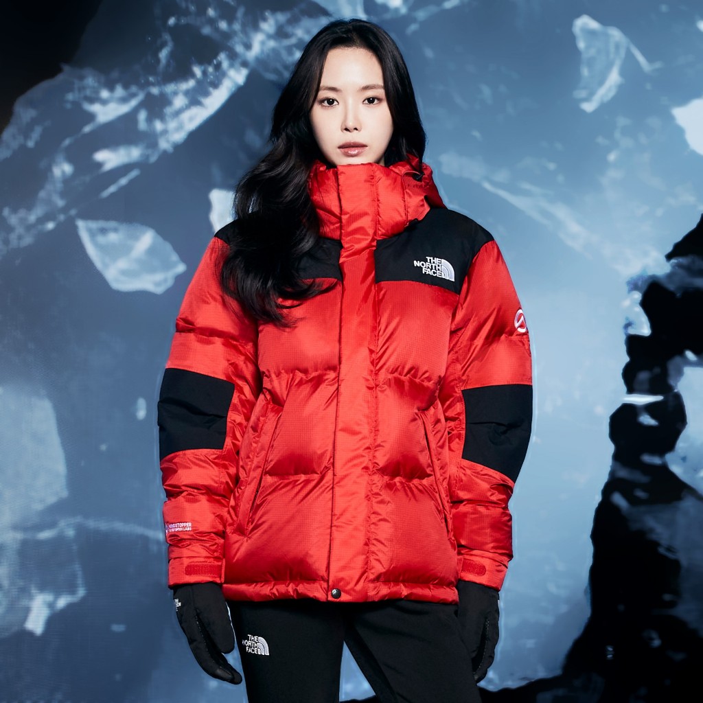 【吉米.tw】韓國代購 THE NORTH FACE 北臉 SUMMIT PRO 連帽 羽絨外套 OCT