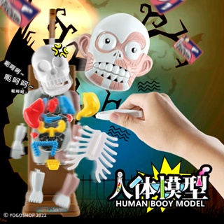 電動 人體器官模型 驚嚇版 /一個入 人體模型 人體器官 人體器官玩具 人體模型玩具 人體構造 趣味桌遊