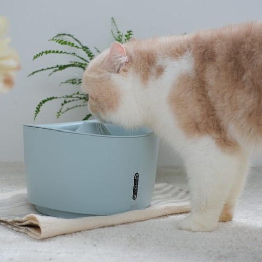 限量色系贈超可愛配件~純粹便宜寵物🐶🐱🐹【GEX】1.5 視窗型 貓用飲水機 飲水器 貓用 配件