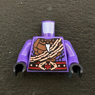 「樂高 軍團」 LEGO 旋風忍者 NINJAGO 70595 身體 蛇 Eyezorai 紫蛇 NJO257