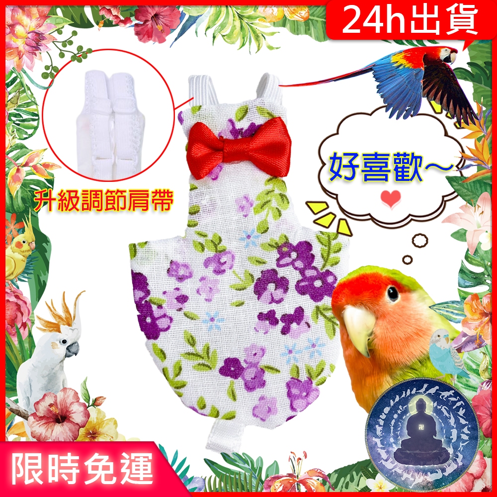 【寵物覺醒24h出貨】可調整鸚鵡衣服鳥衣服尿布衣屎兜鸚鵡玄鳳和尚虎皮折衷金輪凱克牡丹太平洋折衷灰鸚鵡巴丹小鸚