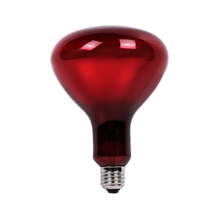100V-120V 250W 紅外線 燈泡 赤外線 動物生長 取暖 理療 東亞 水族 寵物 硬質紅料玻璃