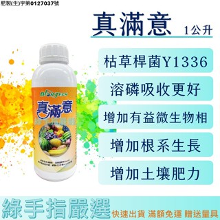 【綠手指嚴選】【24H快速出貨】【多件優惠】真滿意1公升 枯草芽孢桿菌Y1336 溶磷菌臺灣寶臺灣水寶微生物肥料百泰