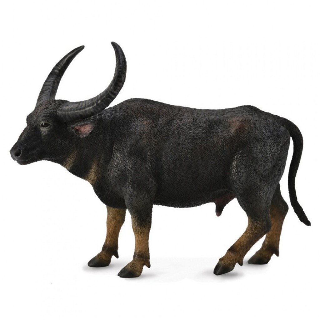 COLLECTA動物模型 - 野生水牛