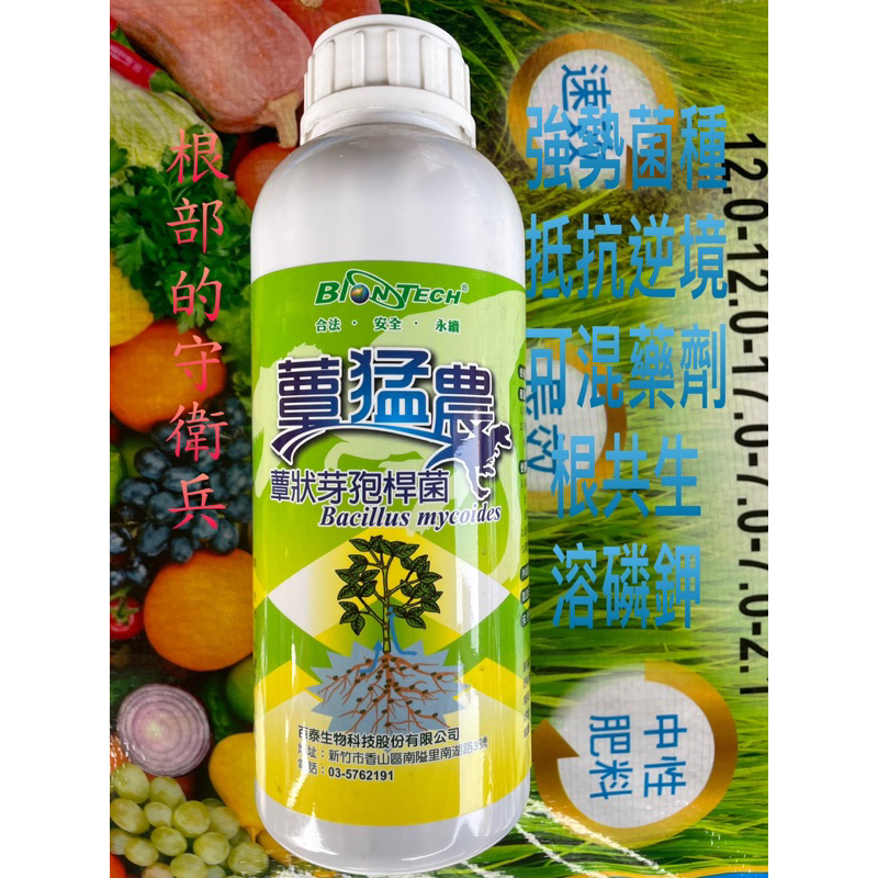 EM菌開根保根蕈狀芽孢桿菌1L