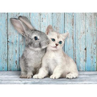 Clementoni 兔子與貓 500片 拼圖總動 員 義大利進口