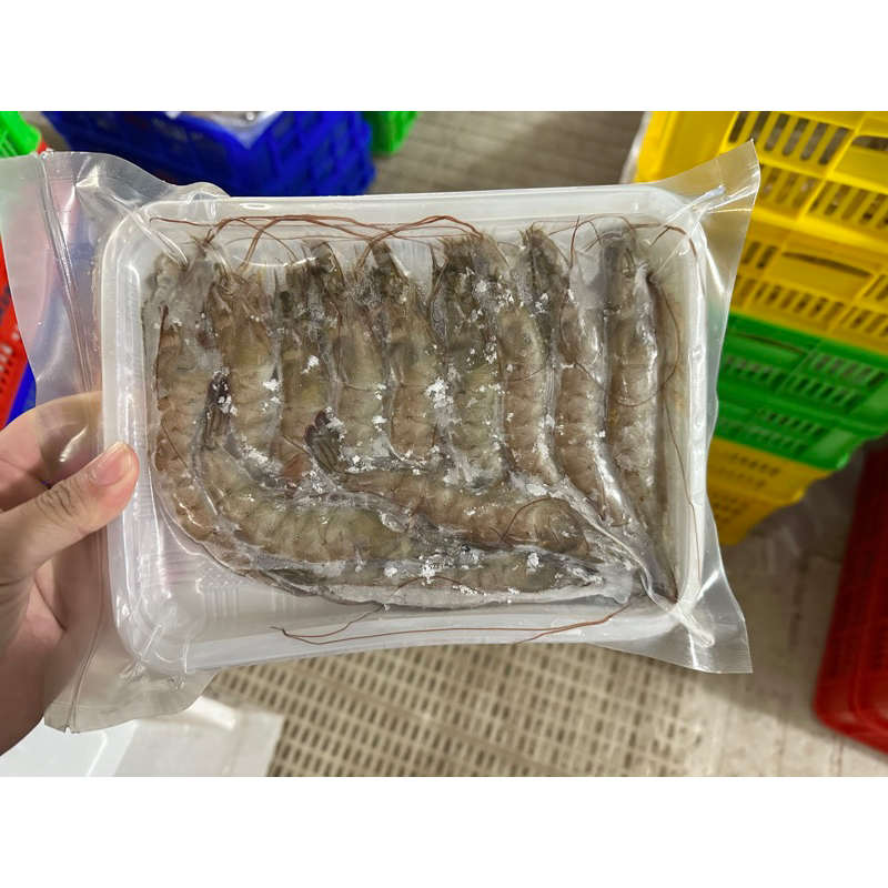 純海水養殖白蝦 超鮮甜 可選超商冷凍宅配【逸家人水產】