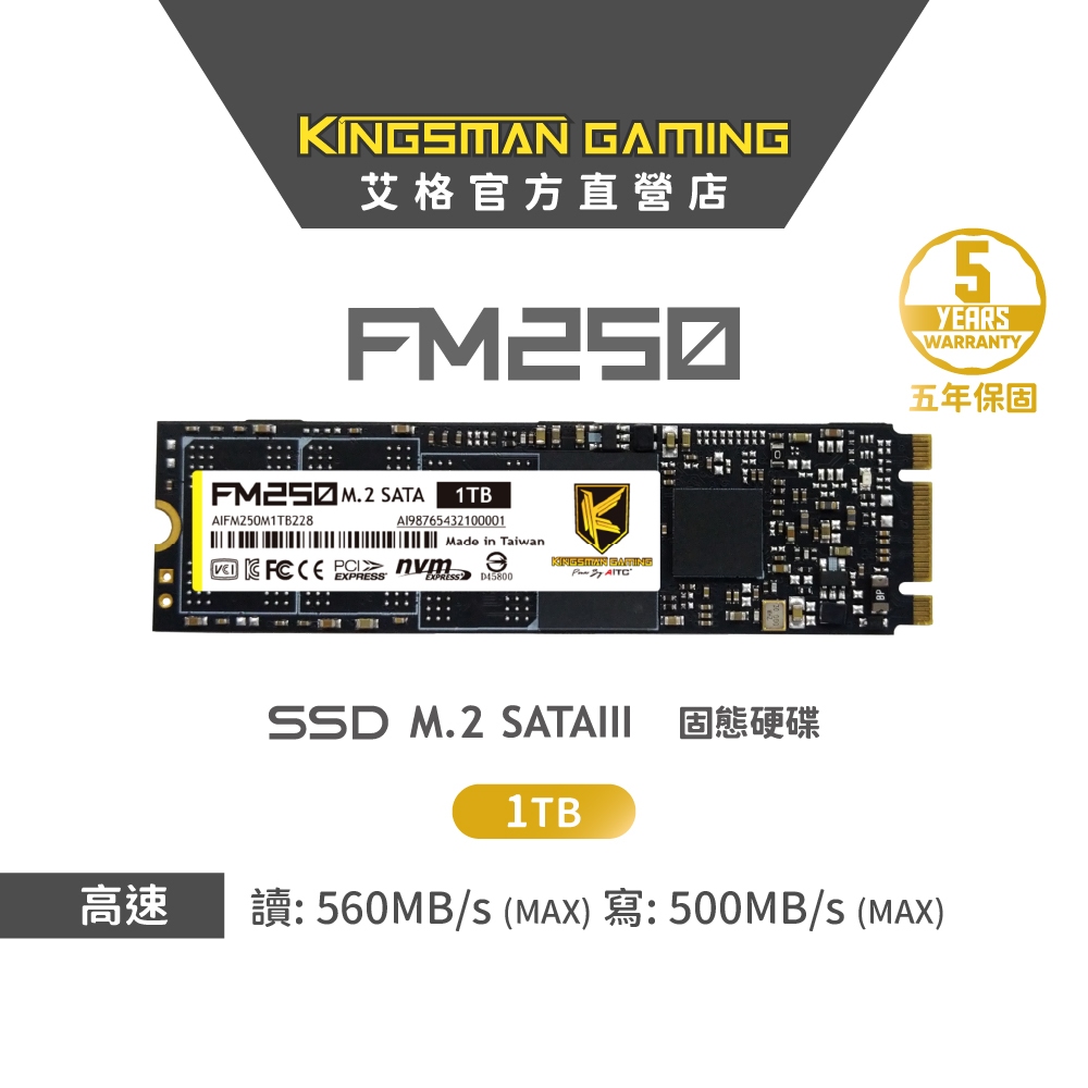 AITC 艾格 FM250 1TB M.2 2280 SATA SSD 固態硬碟