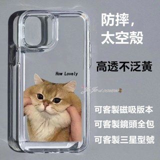 ins捏臉貓 捏臉狗 磁吸手機殼iphone 16 15 14 13 12 11 pro max手機殼 防摔 透明 情侶