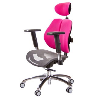 GXG 高雙背網座 工學椅 (鋁腳/升降扶手) TW-2806 LUA5