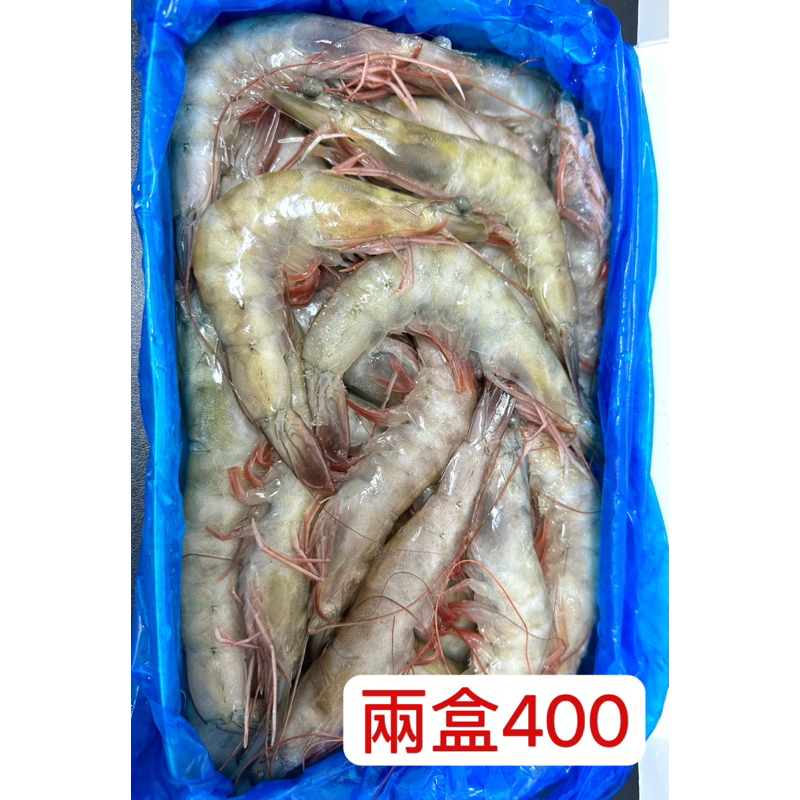 CC生鮮📌活凍白蝦40/50📌 南美白蝦850g40/50規格/冷凍生白蝦/南美大白蝦
