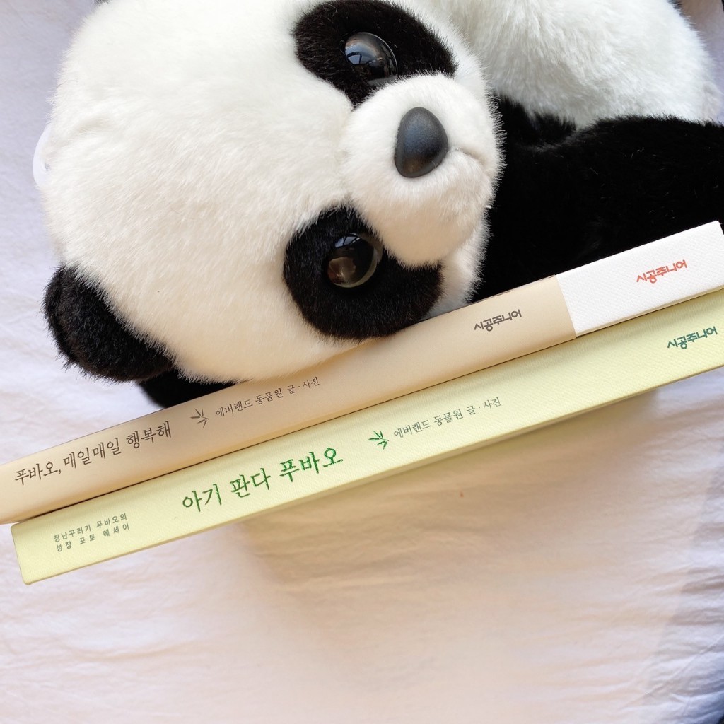 UME❤SHOP 韓國 愛寶樂園  Panda 熊貓寫真書 【正韓現貨】