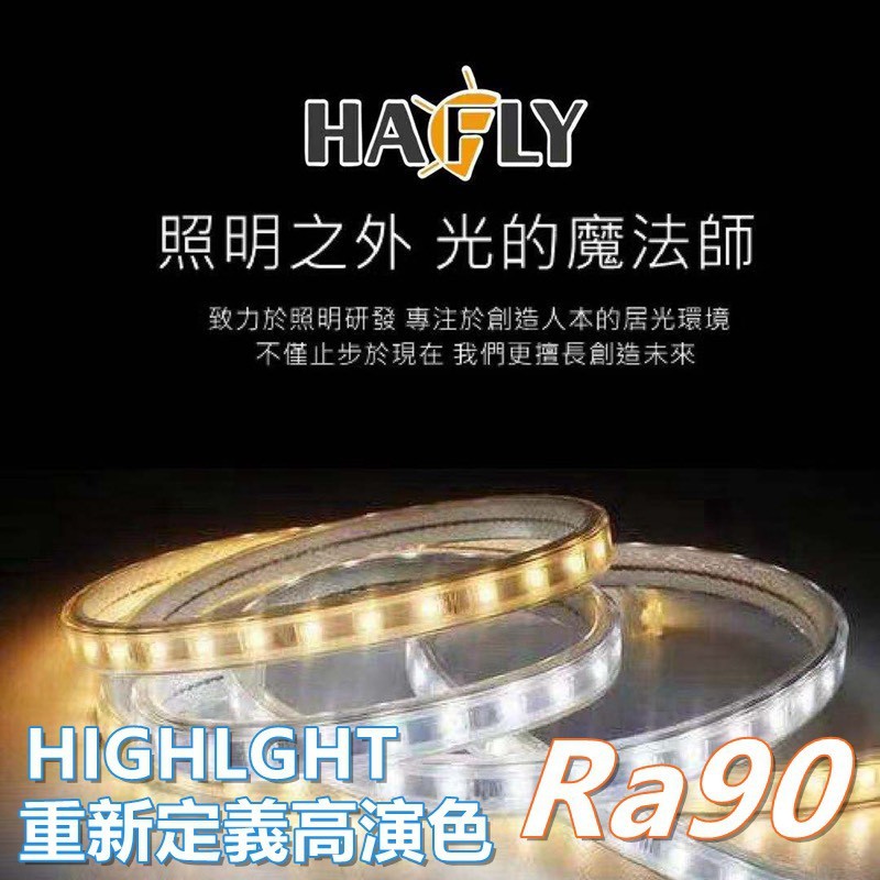 HAFLY LED軟燈條12v 全電壓/室內、櫥窗照明 燈條串燈 布置照明電源供應器