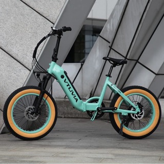 美國歐盟CA倉1000w ebike 6061鋁合金電動折疊自行車胖胎帶鋰電池