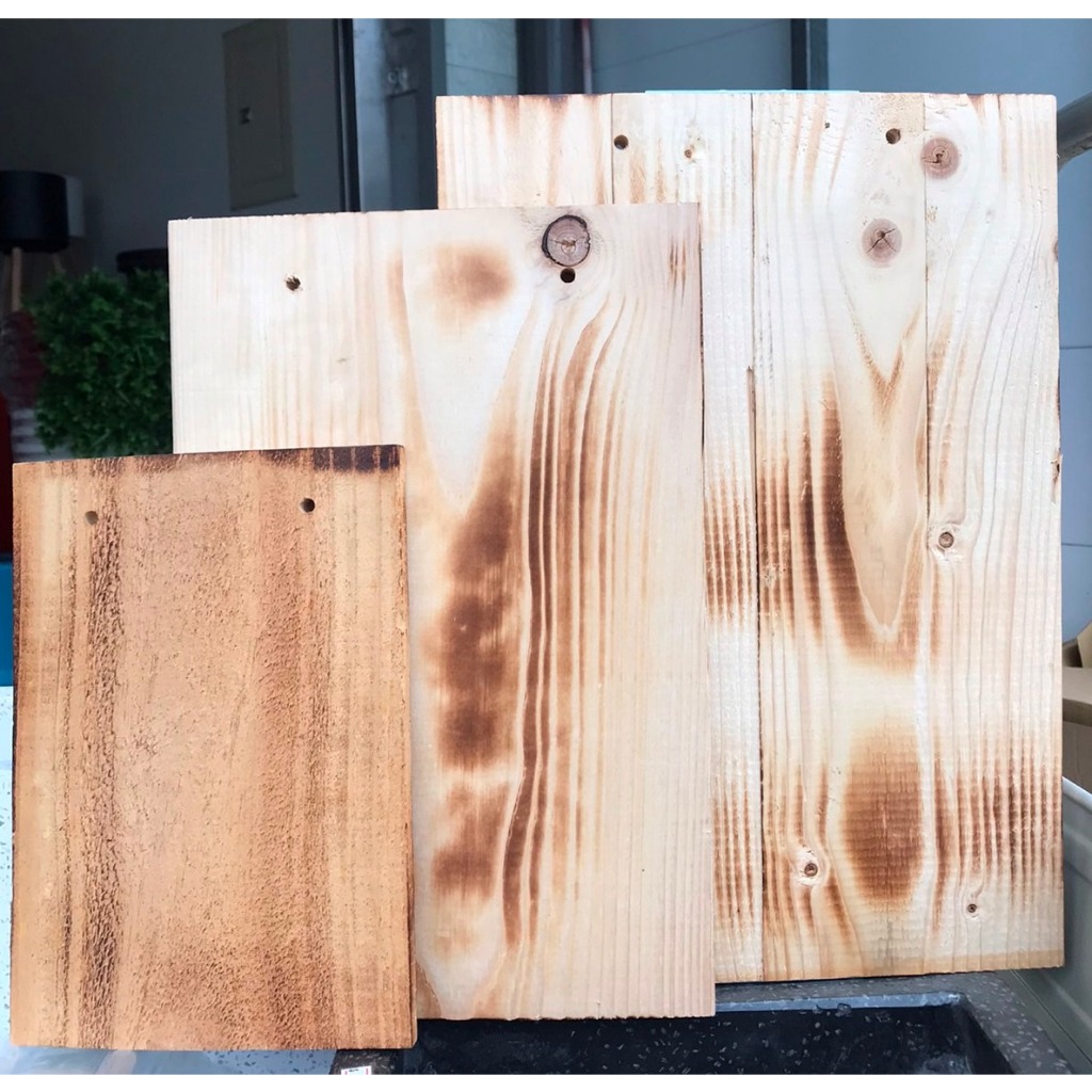 碳化實木杉木板蕨類鹿角蕨上板板材原木木板