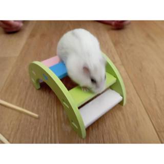 【鹹蛋鼠鼠壓箱寶】MOU0820 倉鼠彩虹橋 寵物鼠玩具 木製玩具用品 木質傢具 啃咬玩具 磨牙 老鼠樓梯