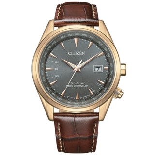 【聊聊甜甜價】CITIZEN 星辰 GENTS系列 光動能 經典時尚電波腕錶 (CB0273-11H)