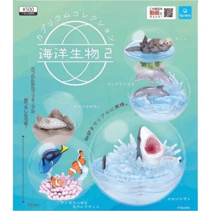 海洋生物2 海獺 海豚 鯊魚 海豹 比目魚 生態球 飼育球 盆景球 環保扭蛋 扭蛋