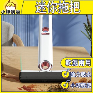 迷你拖把【乾濕兩用 可吊掛】迷你小拖把 小拖把 拖把 免手洗脫把 擦玻璃器 車載小拖把 車用小拖把 擦窗神器