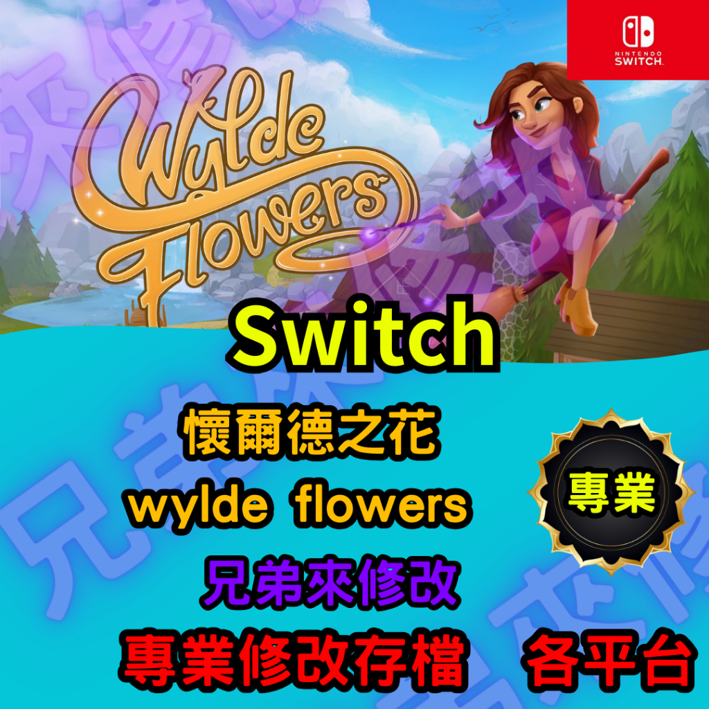 🌈兄弟來修改🌈NS Switch 懷爾德之花  wylde flowers 存檔修改 存檔替換 外掛 金手指  金錢