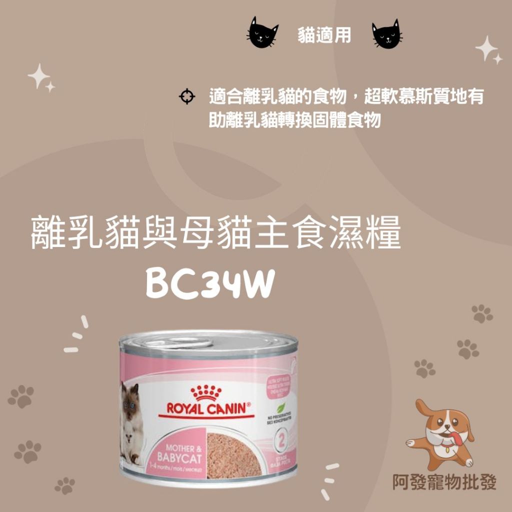 👍阿發寵物批發👍ROYAL CANIN 法國皇家 🐾BC34W/K36W🐾貓 離乳 母貓 主食濕糧 罐頭 餐包