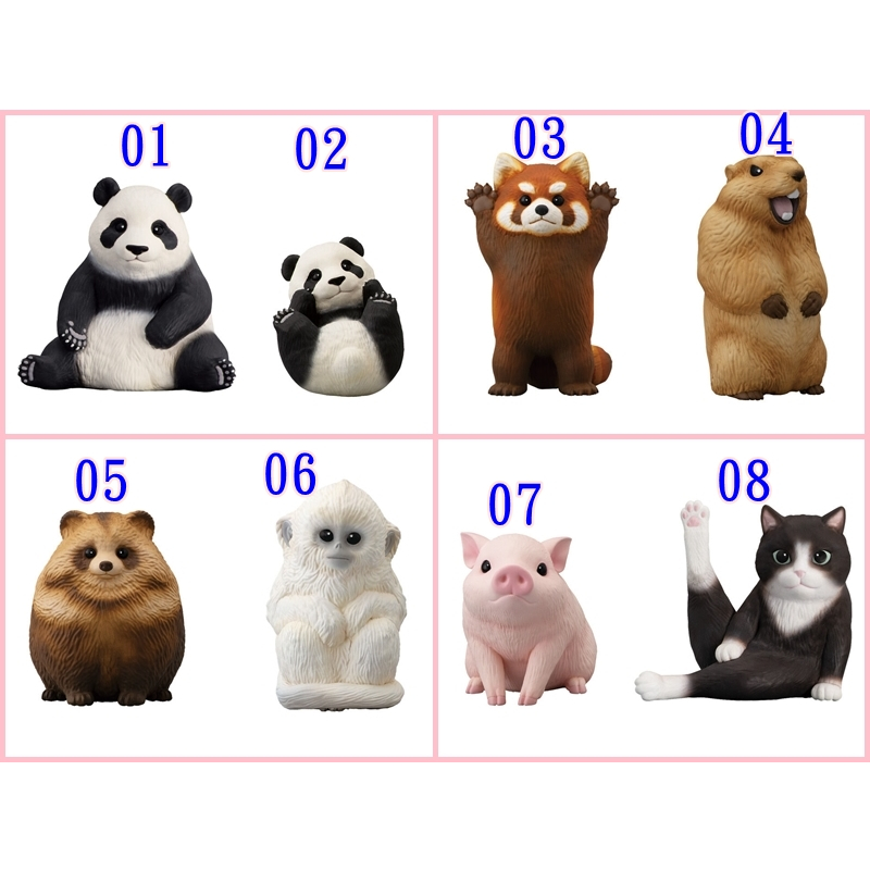 BANDAI 日版 盒玩 食玩 掌上好朋友9 動物好朋友9 陸上好朋友9 陸地動物 熊貓 土撥鼠 豬 貓 毛茸茸