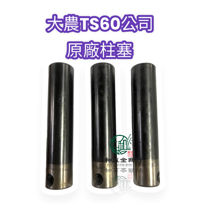 《仁和五金/農業資材》電子發票 大農TS-60噴霧機柱塞 噴霧機柱塞 TS60 TS100 定置式噴霧機零件 定置式噴霧