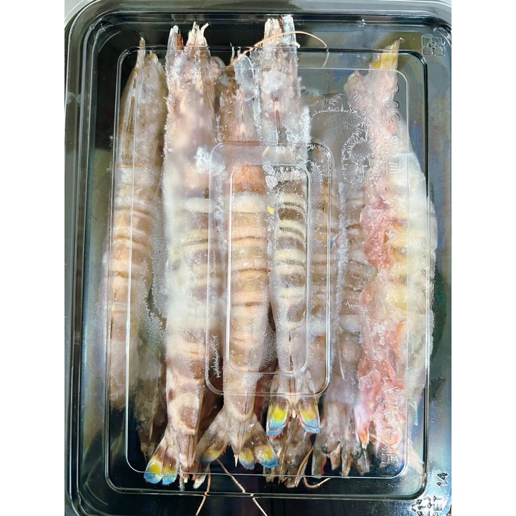 【米仔鮮魚鋪】年菜料理台灣野生船凍明蝦