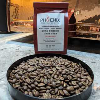 PHOENIX 鳳咖啡 天然低咖啡因品種【瓜地馬拉 新格蘭達莊園 尖身波旁 水洗處理】