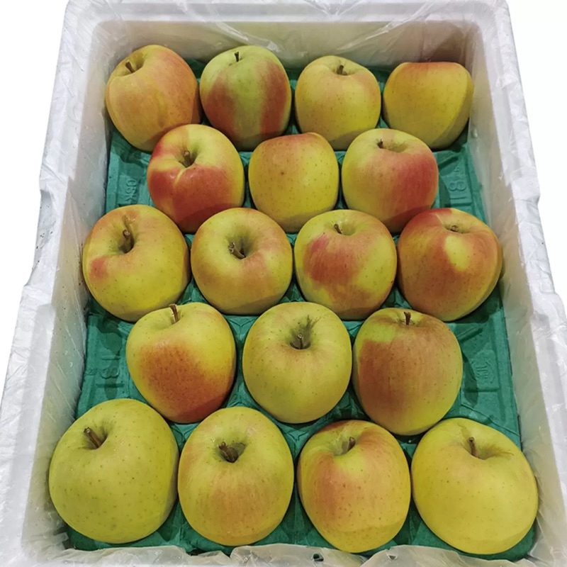 免運宅配 有發票 好市多代購 日本青森名月蘋果 10公斤 Japan Aomori Meigetsu Apple