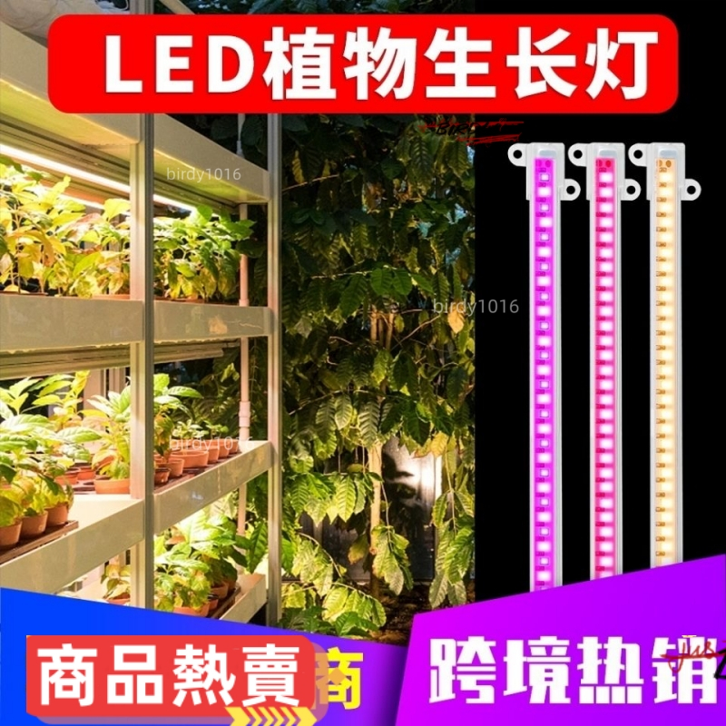⚡ 優選聯盟✨全光譜LED植物生長燈管USB可調光定時5V室內家用水培植物燈條園藝花卉幼苗植物種植櫥櫃架專用補光燈防水太