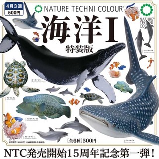 【盧卡斯偷椅子】現貨 正版 IKIMON NTC圖鑑-海洋第一彈 特裝版 海洋 鯨鯊 扭蛋 轉蛋
