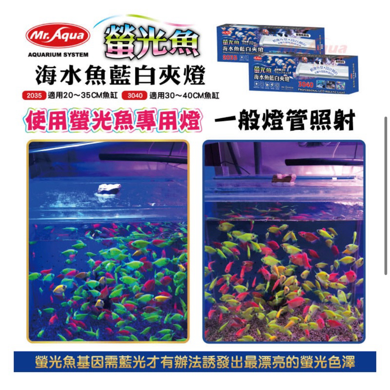 ［水族最便宜］魚缸夾燈 藍白燈 海水燈 水族燈具 魚缸電燈 小丑魚 螢光魚 軟體 海葵燈 MR 螢光魚.海水魚藍白夾燈