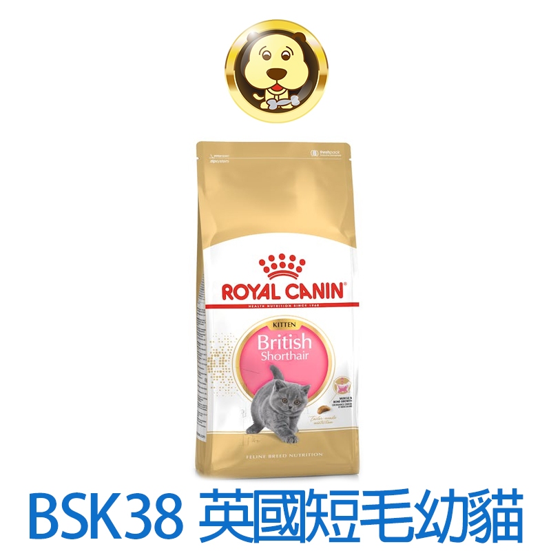 《ROYAL CANIN 法國皇家》FBN 英國短毛幼貓 BSK38 2KG 10KG 【培菓寵物】