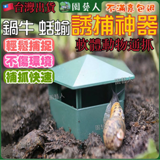 【園藝人🔥現貨加厚材質】蝸牛捕捉器 誘捕器 多肉植物 防蟲網 除蟲 花盆擺件 防蝸牛 除螺 蝸牛誘捕器