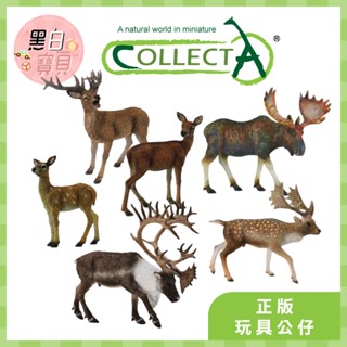 【臺灣現貨】collectA動物模型 公鹿 母鹿 幼鹿 駝鹿 淡黃色鹿 北美馴鹿