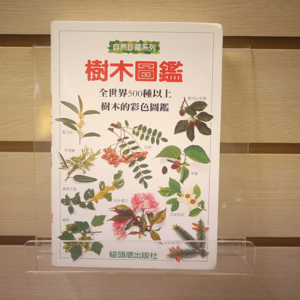 【午後書房】艾倫．J．科莫斯，《樹木圖鑑》，1999年初版14刷，貓頭鷹 240127-95