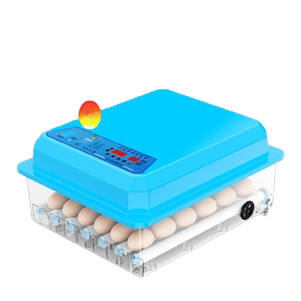 KELING 科凌 孵化箱 36枚雙電源可接12V自動控溫 全自動家用型小雞孵化器 110V孵化機小型孵蛋器 免運