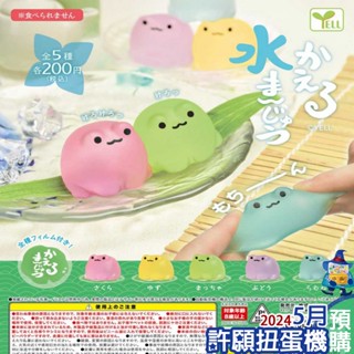 【許願扭蛋機】『現貨』 蛙蛙水饅頭 全5種 扭蛋 轉蛋 YELL 捏捏 軟軟 squishy 青蛙 水饅頭