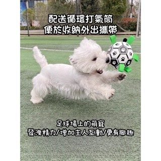 【台灣出貨】狗狗玩具 互動足球 自嗨超耐咬 易叼回 訓練專用狗足球 寵物用品 狗狗玩具球 耐咬玩具