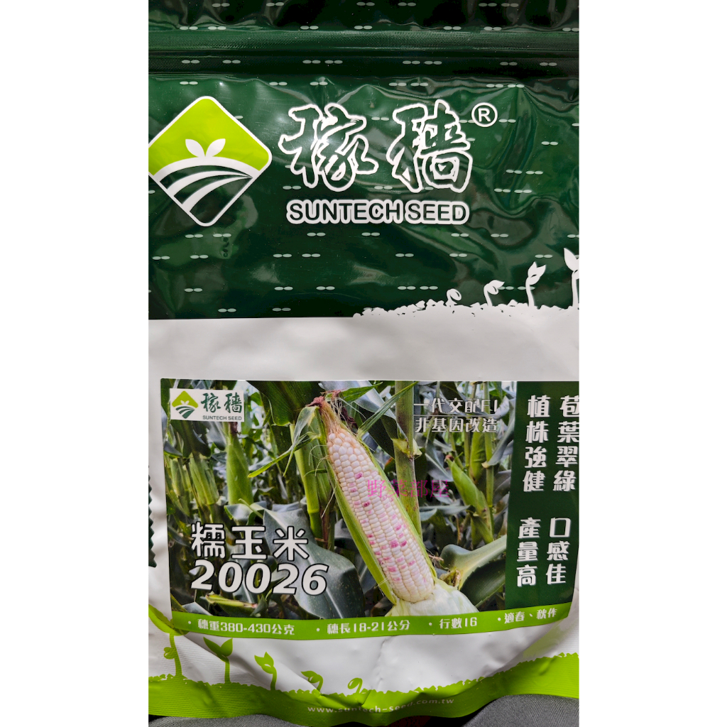 【野菜部屋~】N34 白Q甜826甜糯玉米種子1磅原包裝 , 冠軍品種 , 白Q甜802玉米升級版 , 每包550元~