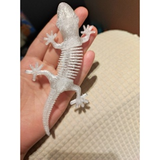 3D列印玩具公仔 高回彈蜥蜴玩具 魚骨恐龍玩具 彈弓玩具