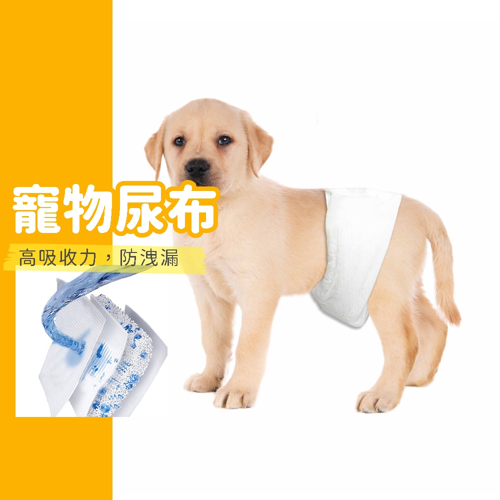 [現貨] 寵物尿布 公狗 禮貌帶 母狗 生理褲 寵物 拋棄式 紙尿褲 狗狗 寵物專用 尿布