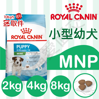 [沛福愛面交] MNPP MNP 法國皇家 APR33 小型幼犬 2KG 4KG 8KG 8公斤 15kg 15公斤